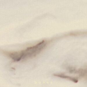 bones
