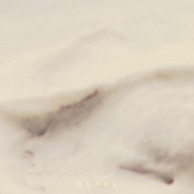 bones